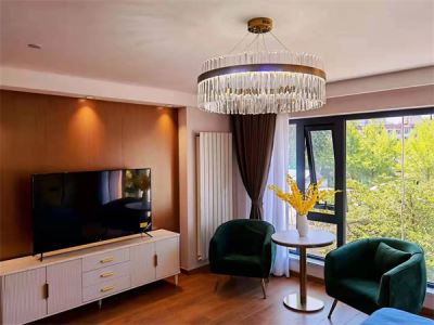 金隅环贸国际公寓首农东苑公寓 2居室